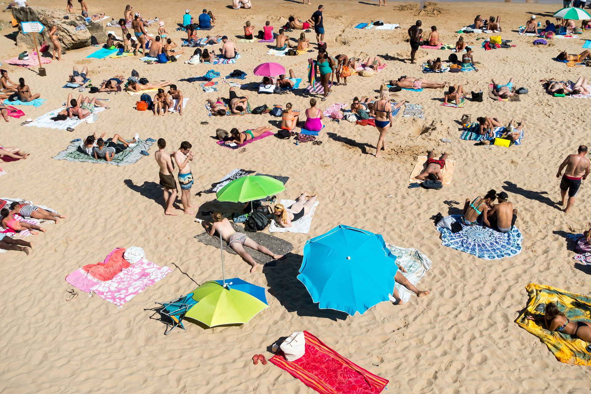 people on a beach