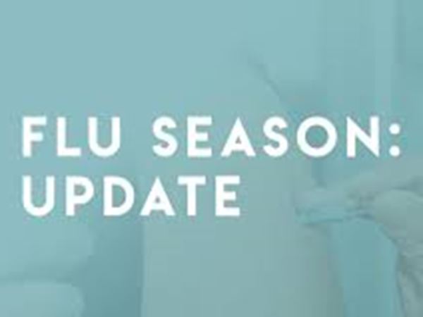 flu season update